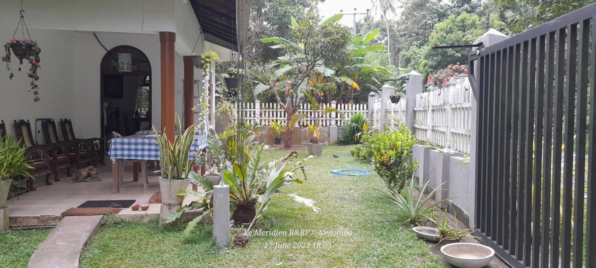 Le Meridien Bnb For Foreign Travelers Negombo Eksteriør billede